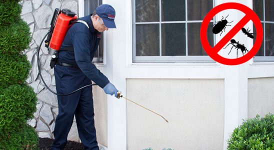 Banaz Tahtakurusu İlaçlama böcek ilaçlama ve haşere kontrolü — ilaclama-tr.com